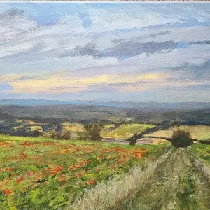 Field with poppies, View over Lavington from Salisbury Plain