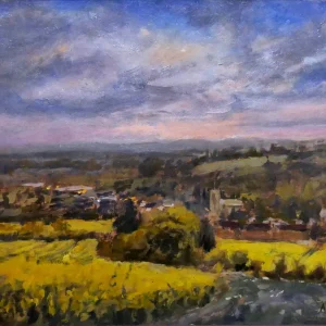 15. 150. Rapeseed field above Market lavington